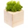 Декоративная композиция GreenBox Wooden Cube, зеленый фото 1