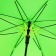 Зонт-трость Undercolor с цветными спицами, зеленое яблоко фото 4